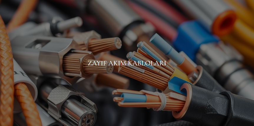 Veri ve İletişim Zayıf Akım Kablo Çözümleri Yangın İhbar CAT6